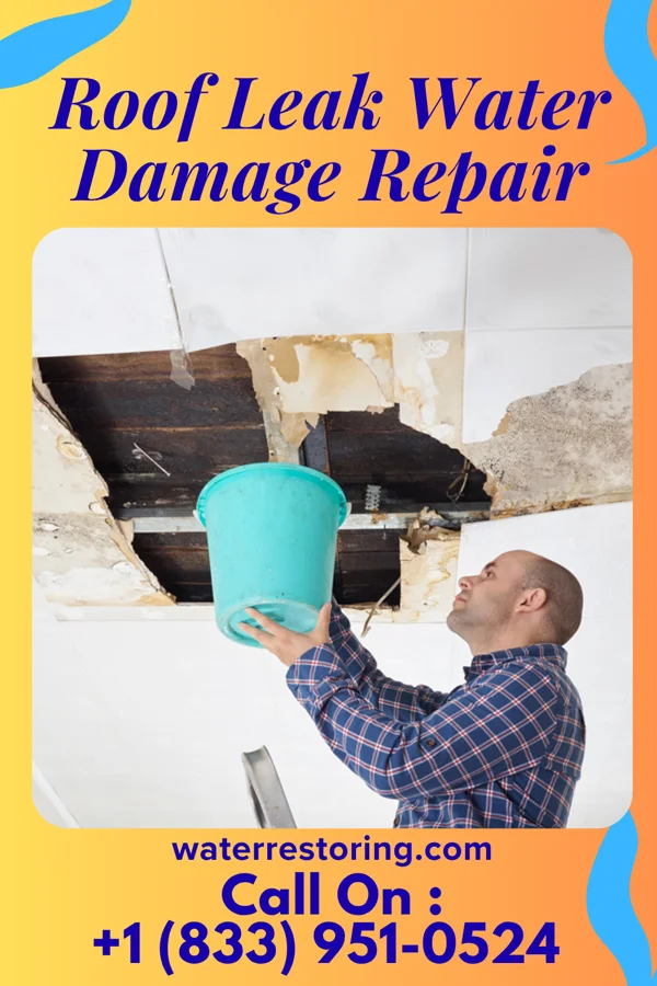 Roof Leak Water Damage Repair in Coyote Acres, TX